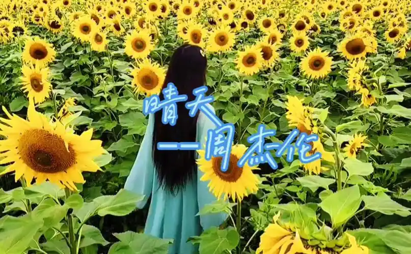 晴天 ––周杰伦