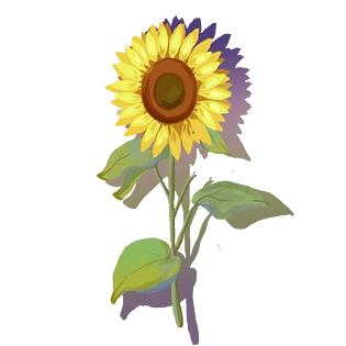 2000*2000向日葵pngpsd2000*2000彩色向日葵pngpsd2000*2000卡通花朵p