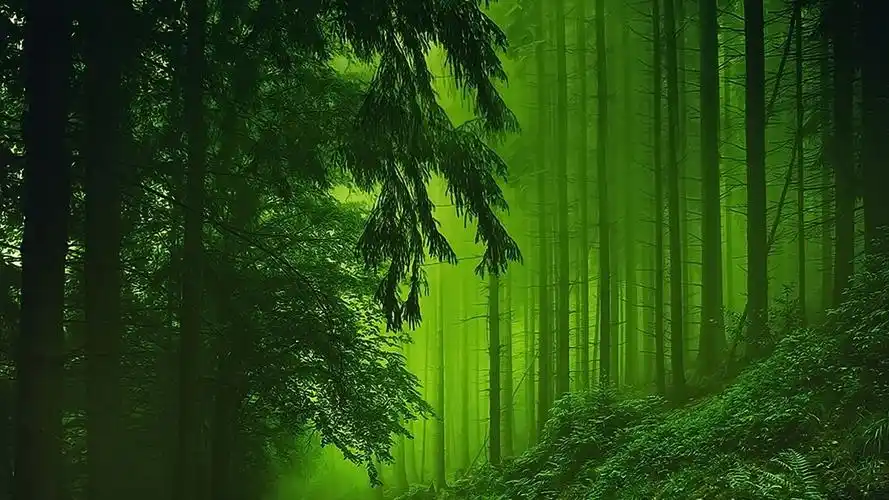 心灵得到了"洗涤",天地与你共生,天地共主