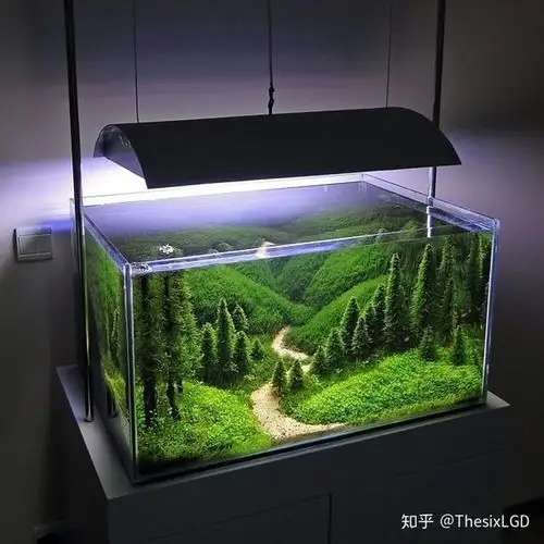 【草缸从零开始】草缸造景过程中的一些注意点以及小技巧