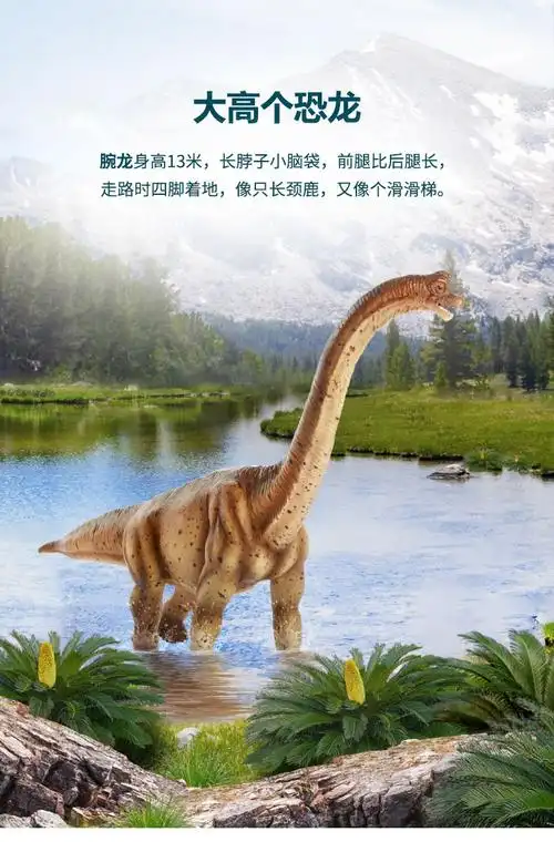 龙饭团恐龙玩具大型仿真腕龙模型儿童动物玩偶侏罗纪涂绘拼装