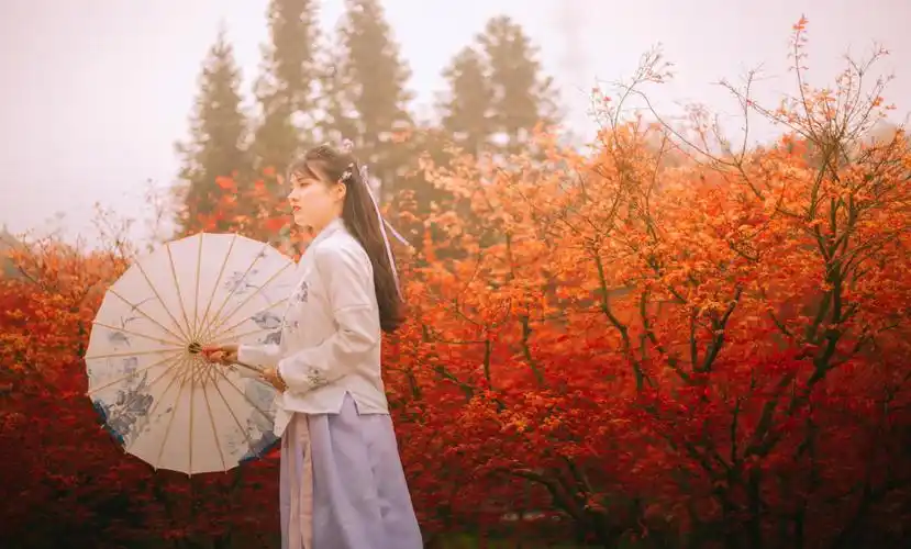 活动期间,五洲园景区上演了汉服走秀,汉服舞蹈表演和最近流行的古风