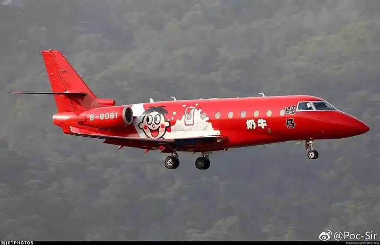 旺旺总部小员工有什么想问的