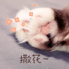 可爱猫爪撒花动态gif表情包