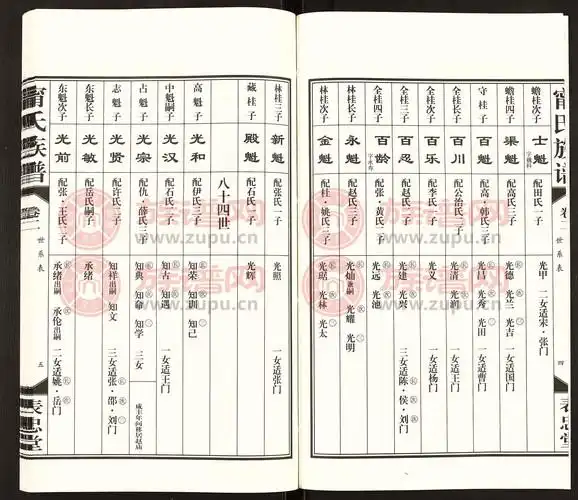 表忠堂宁氏族谱第3本 - 宁氏堂号字辈查阅 - 族谱网