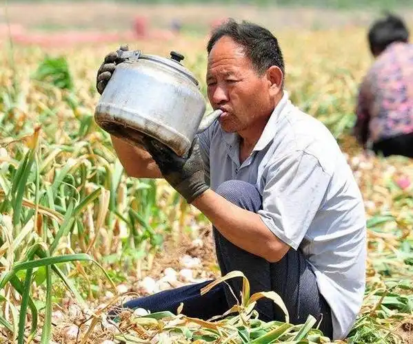 这个特大利好消息终于藏不住了!农民种田居然有免费app神器了!