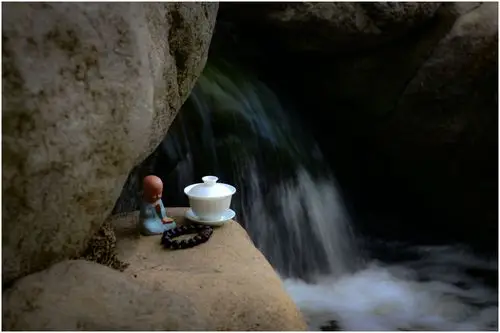 禅茶一味 修心悟境