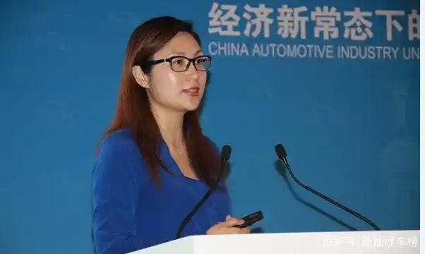 特斯拉全球副总裁陶琳