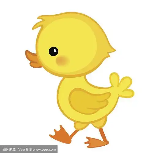 矢量,小鸭子,可爱的,绘画插图,卡通