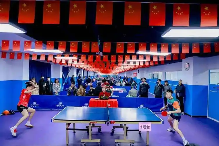 2024年朝阳区第十八届和谐杯乒乓球比赛圆满结束