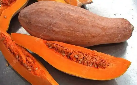 南瓜可以带皮吃吗南瓜带皮吃好不好多图