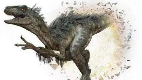 白垩纪杀伤力最强的恐爪龙体型虽小却能敌过霸王龙