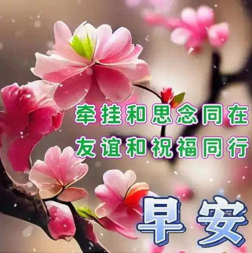 早上好问候祝福精选美文