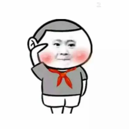 敬礼 - 升旗仪式现在开始_升旗_群聊表情-发表情