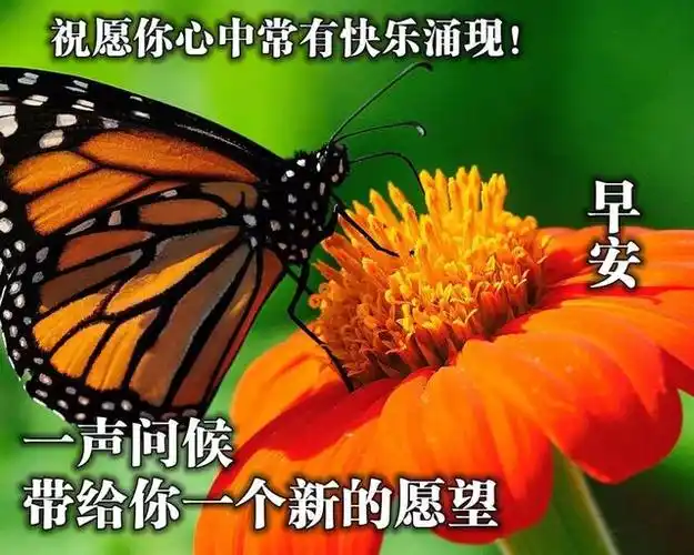 5月清凉一夏早上好祝福图片,温暖人心的早安问候句子