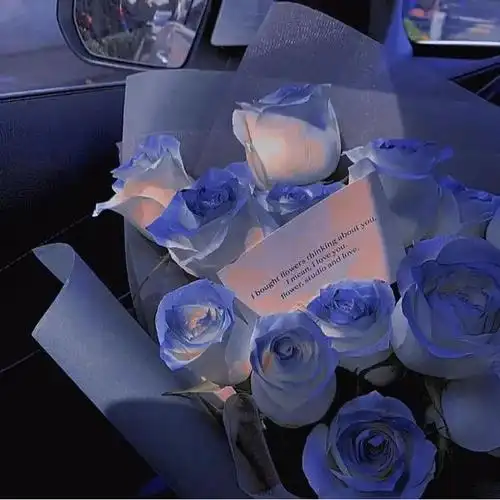 朋友圈背景图81