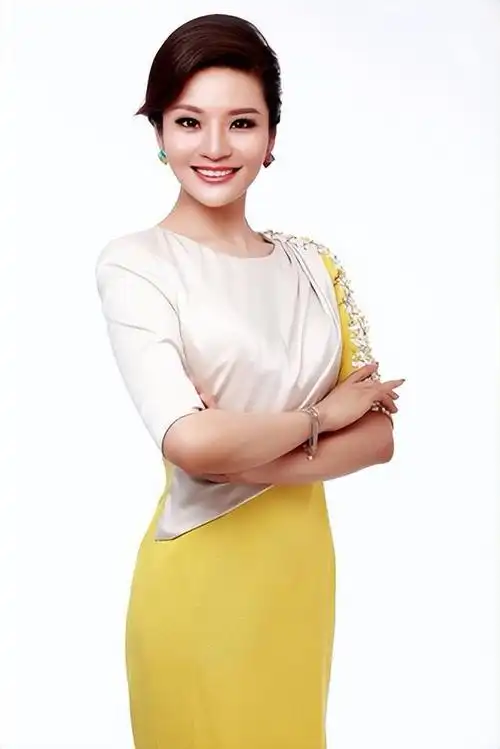 央视孟盛楠个人资料介绍(中国文艺主持人孟盛楠的主持事业)-四五百科