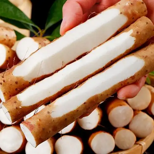 山药小白香糯新鲜生铁铁杆淮山当季孕妇河北新鲜山药