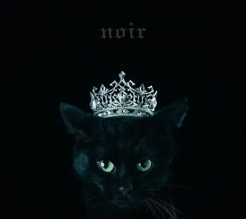 aimer《best selection "noir"》flac/16bit/44.1khz/百度 | 无损日韩