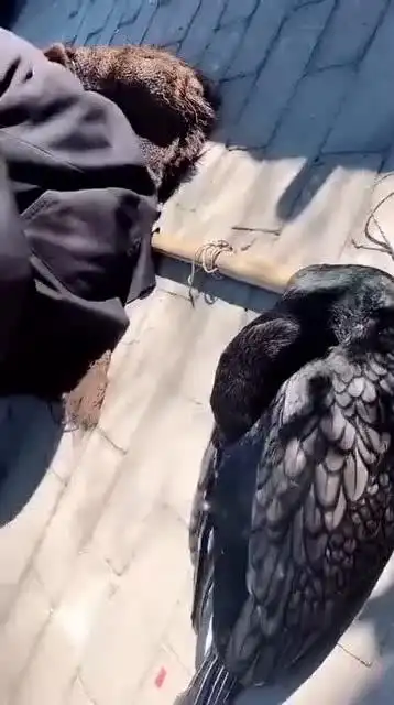 二十块钱的人民币,是这个老爷爷,长见识了!