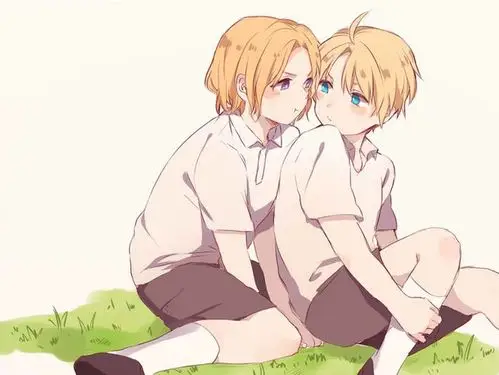 黑塔利亚 aph 北美双子