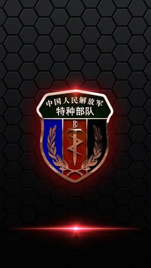 庆贺八—,中国人民解放军版的千手观音