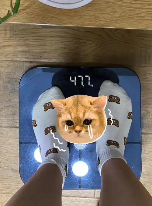 4斤早上:一个烧饼中午:家常菜77米饭晚上:一个烧饼今日养生茶:白