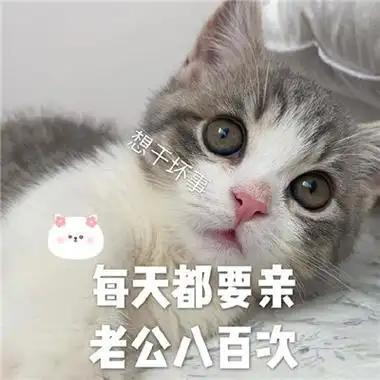 对老公撒娇卖萌的表情包要乖乖听老公话的表情包