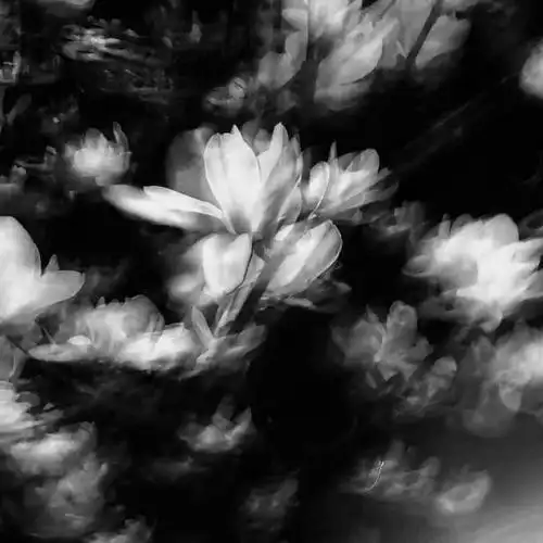 黑白图片简单意境黑白图片唯美伤感