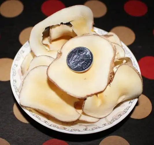 原色 无硫磺 泰国 海底椰片 煲汤 汤料 18元250g 半斤 顺丰包邮