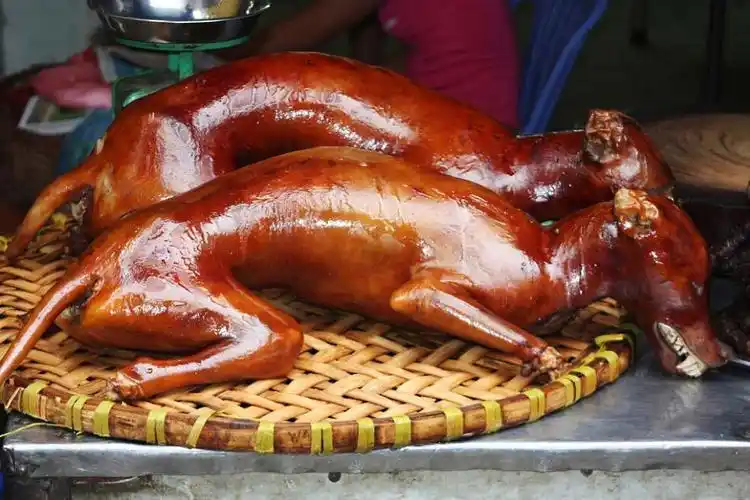 外国人评出来的十大最恐怖食物,我怎么感觉每个都是那么好吃