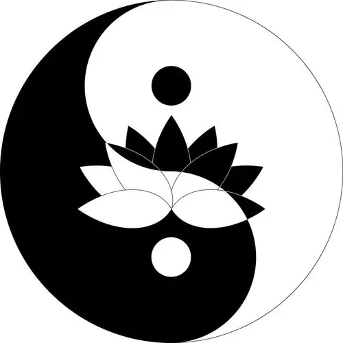莲花,阴阳,象征,黑白