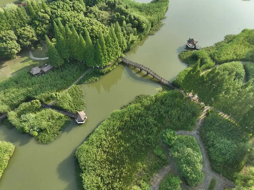 (美丽中国)夏日沙家浜