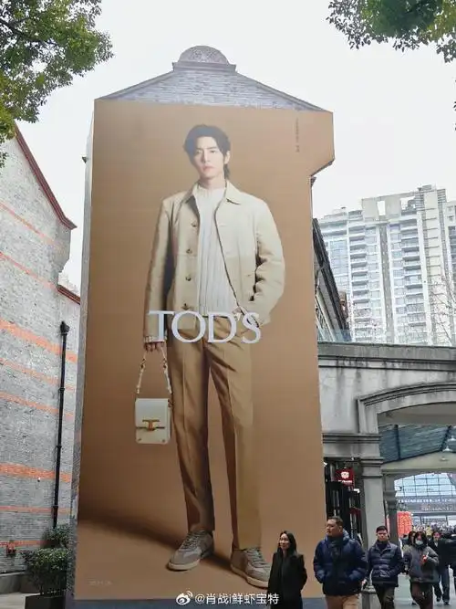 tods全球品牌代言人肖战##肖战线下活动