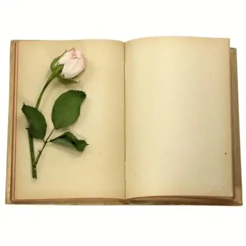 书单素材图片空白