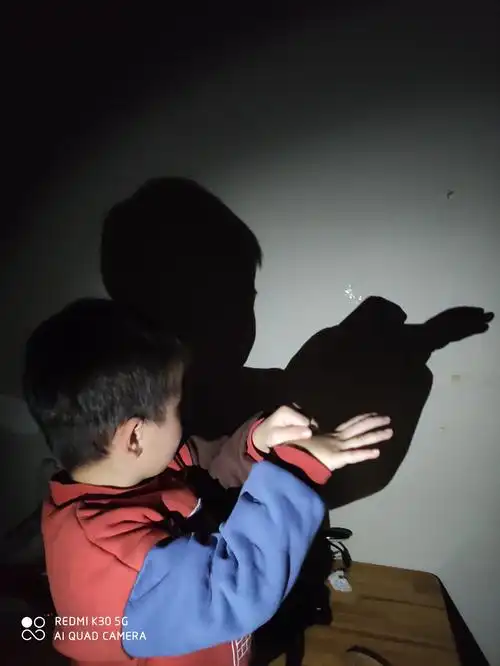 幼儿园小班教案《有趣的影子》含反思