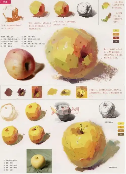 水粉画单体静物:苹果的画法图解及临摹高清范画图片