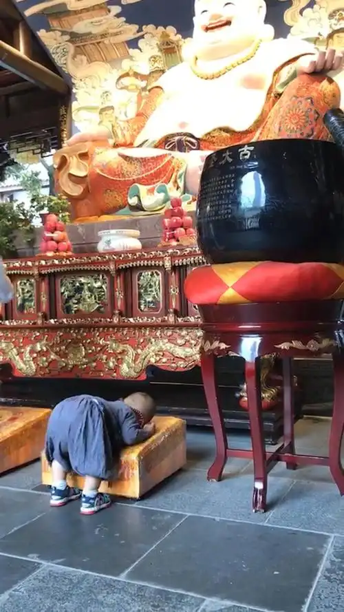 我要上热门#这个会拜佛的小和尚了 @全民小助手