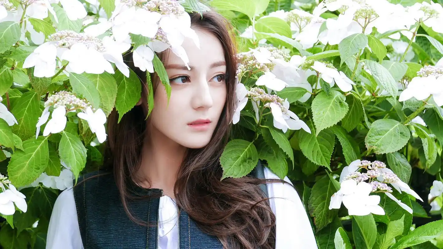 精致五官迪丽热巴壁纸_漂亮迷人的迪丽热巴_明星图片