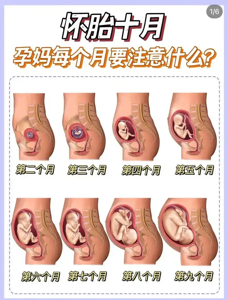 我猜此时看视频的你,肚子里也有一个天使宝宝!怀孕是人生魔法, - 抖音