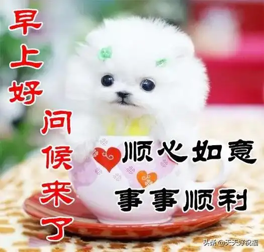 最美最暖心的清晨问候祝福语短信很入心的早安祝福文字表情图片