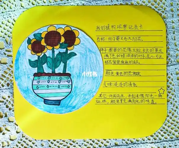 三年级植物卡制作