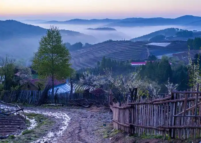 《乡村晨景》               赵景军