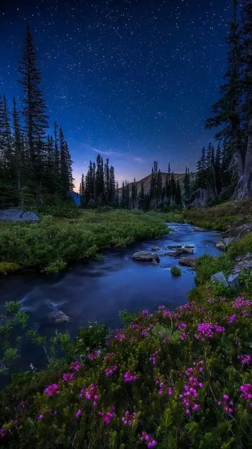 唯美仙境风景,高清图片,手机锁屏桌面-壁纸族