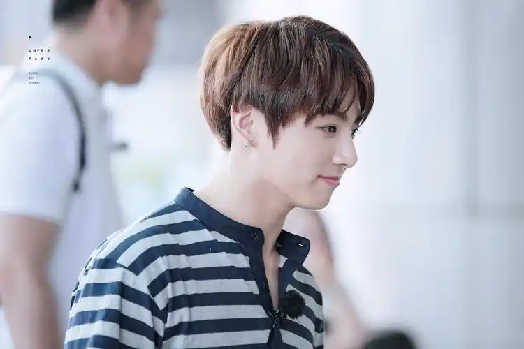 黄金忙内 田柾国 田果果