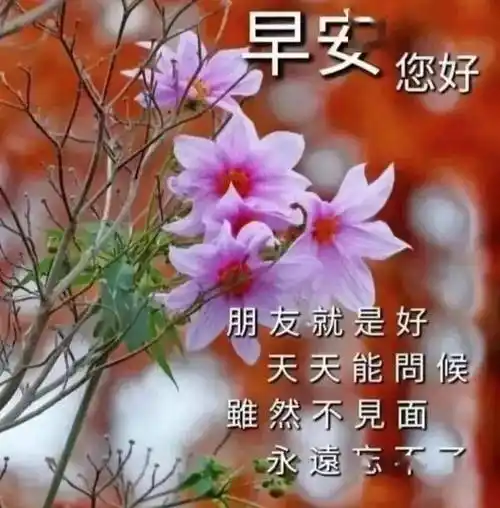 早上好表情包特殊时期非常牵挂愿每一个人平平安安