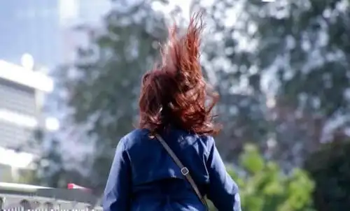 北京四月的大风像是要把春天吹跑