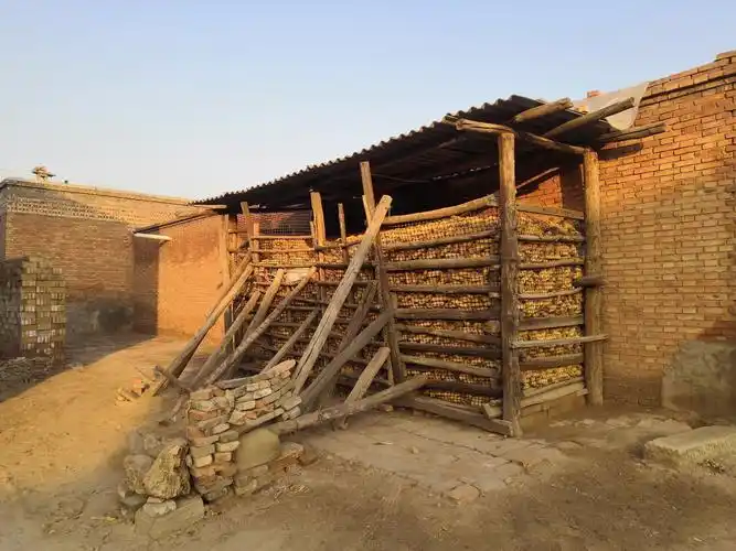 祁县农村玉米笼组图合集大全越失败越有趣