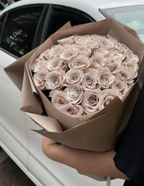 收到曼塔玫瑰的快乐 78#石家庄高端花店