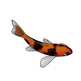 幸运卡通图片大全_幸运卡通图片素材【png免费下载】-90设计网